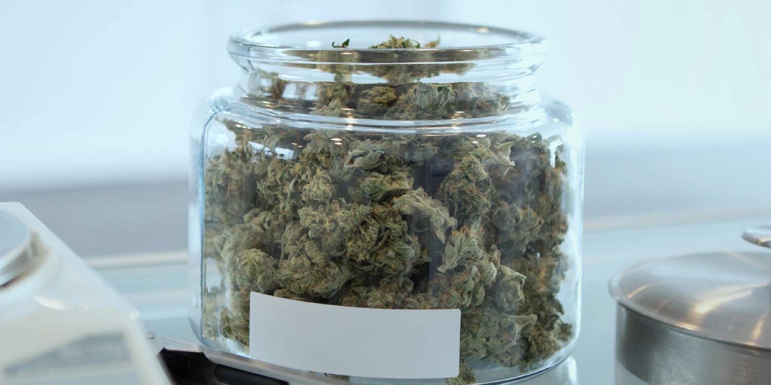 weed018